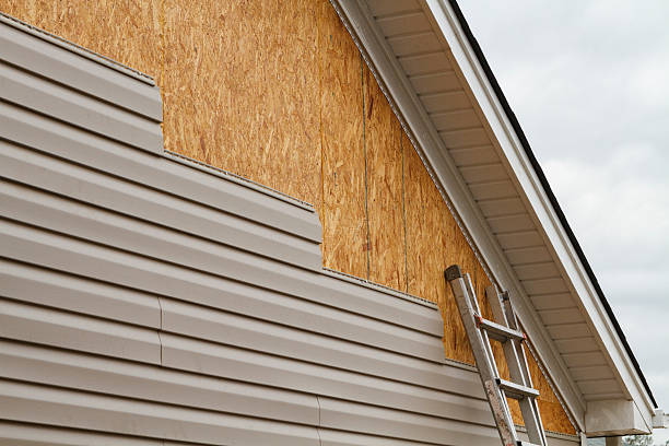 Professional Siding Repair technician working in Belton, SC